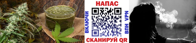 OMG   Гаджиево  Canna-Cookies конопля 