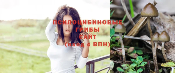 гидропоника Балабаново