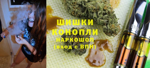 ГАЛЛЮЦИНОГЕННЫЕ ГРИБЫ Балахна