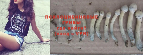 ГАЛЛЮЦИНОГЕННЫЕ ГРИБЫ Балахна